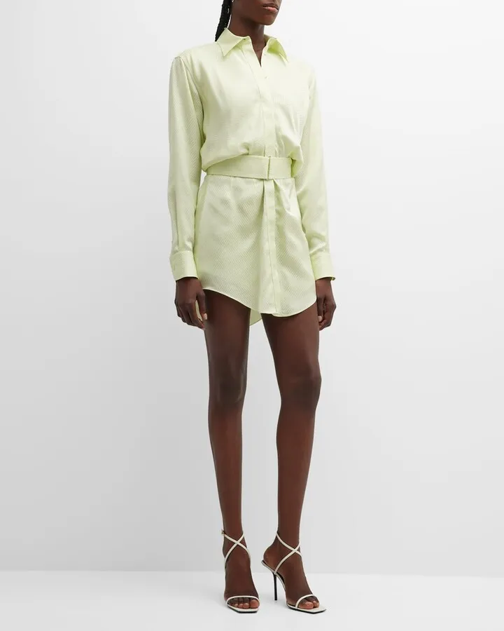 The Vera Belted Mini Dress