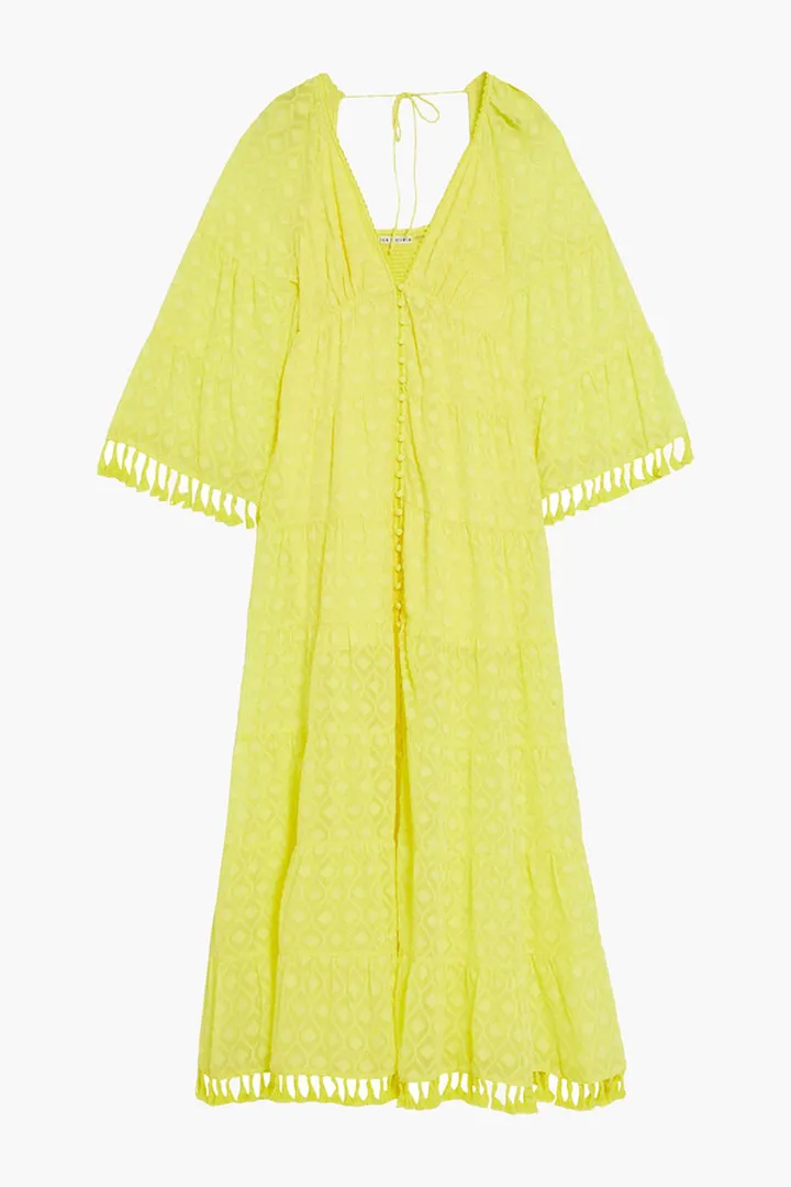 Alexandria tasseled fil coupé chiffon maxi dress