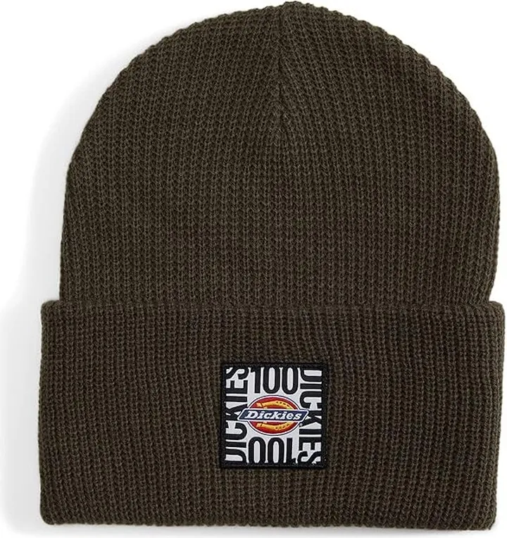 Dickies 100th Anniversary Beanie Hat (Black) Caps