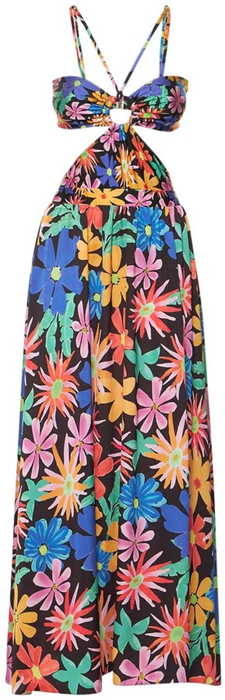 Aster printed midi dress