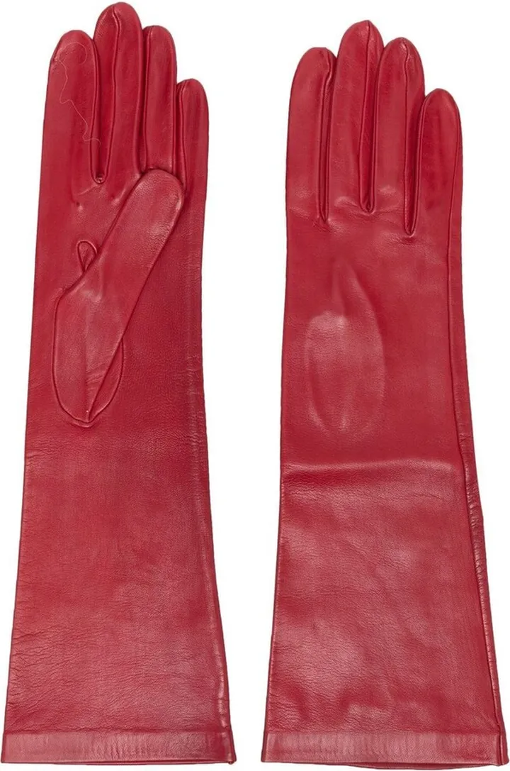 Long Leather Gloves