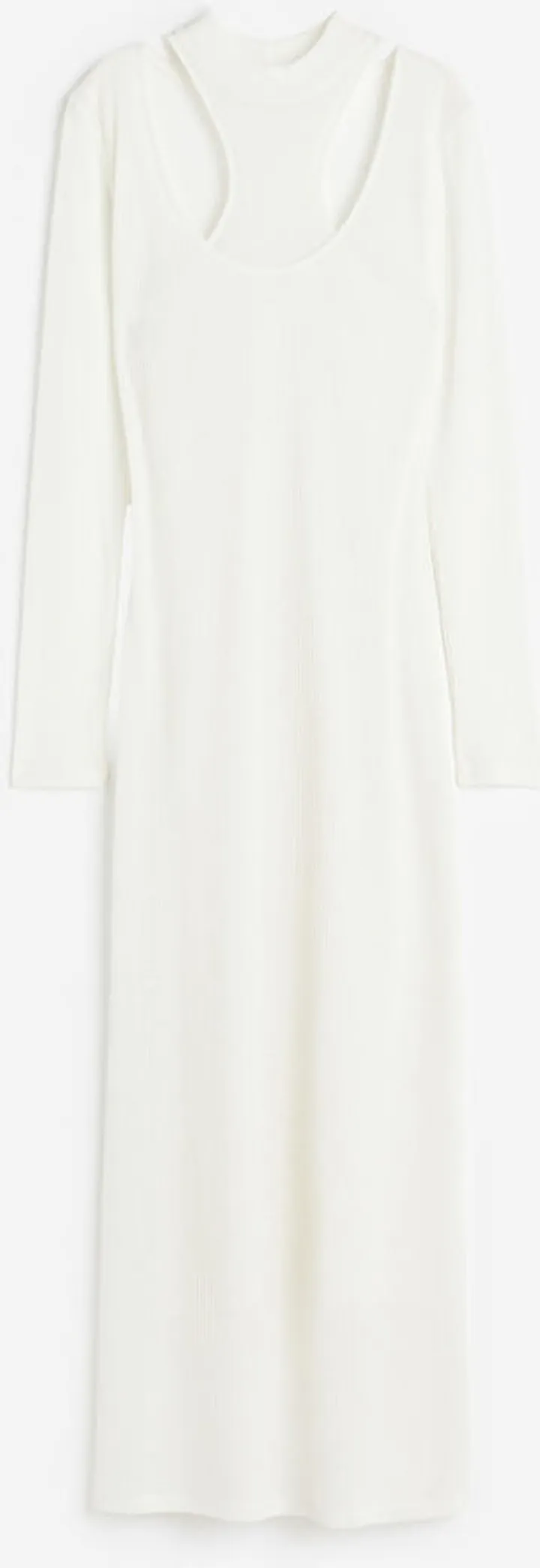 Double-layered Bodycon Dress