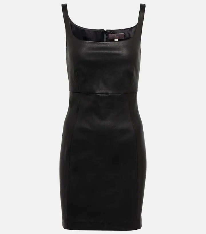 Vanessa leather minidress