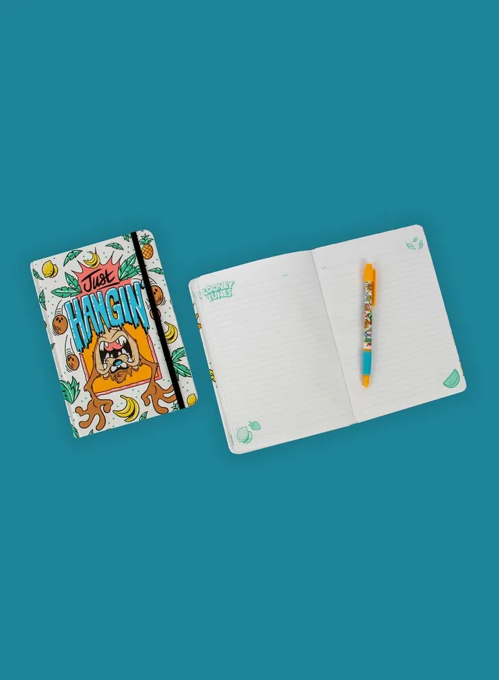 Looney Tunes A5 Casebound Notebook Taz