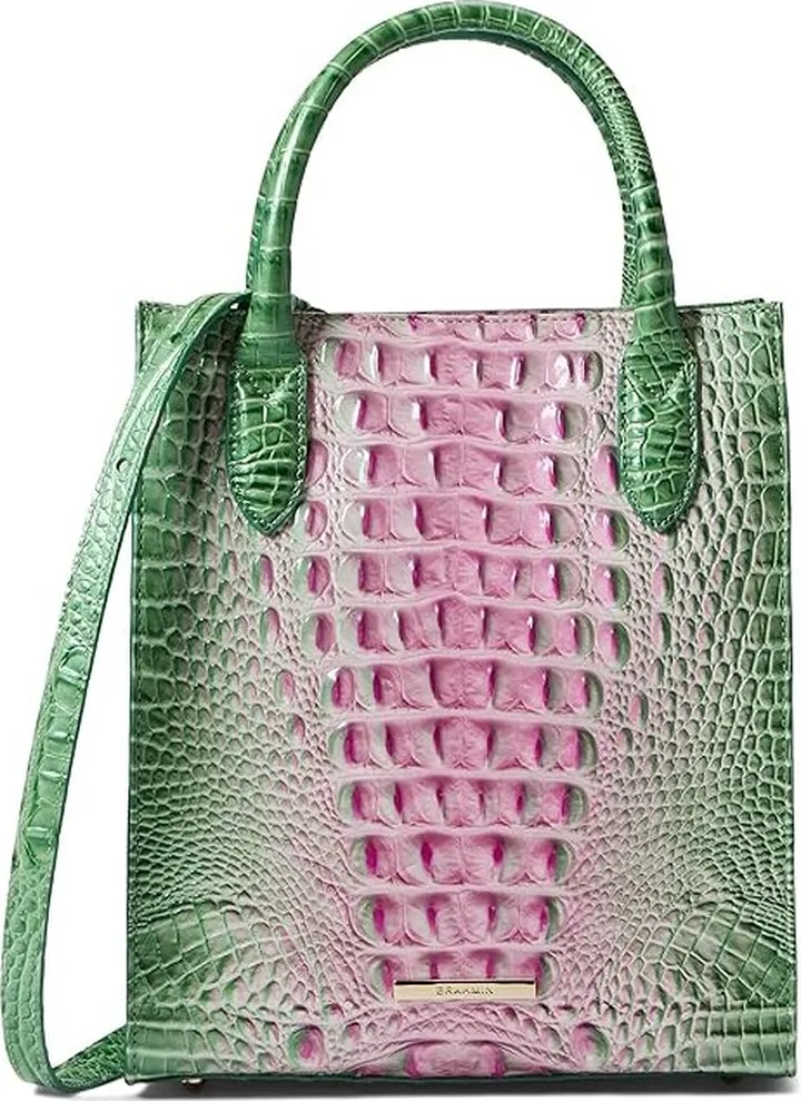 Brahmin Ombre Melbourne Moira Crossbody (Apple Blush) Handbags