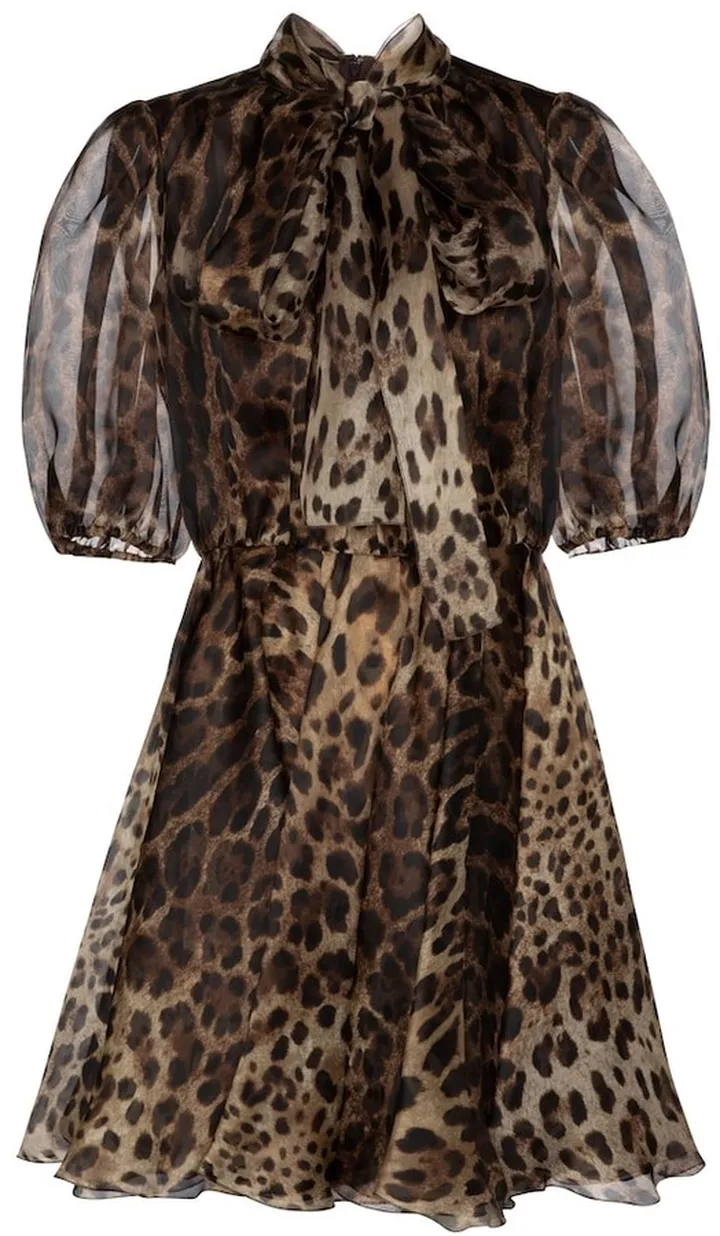 Leopard-print silk organza minidress