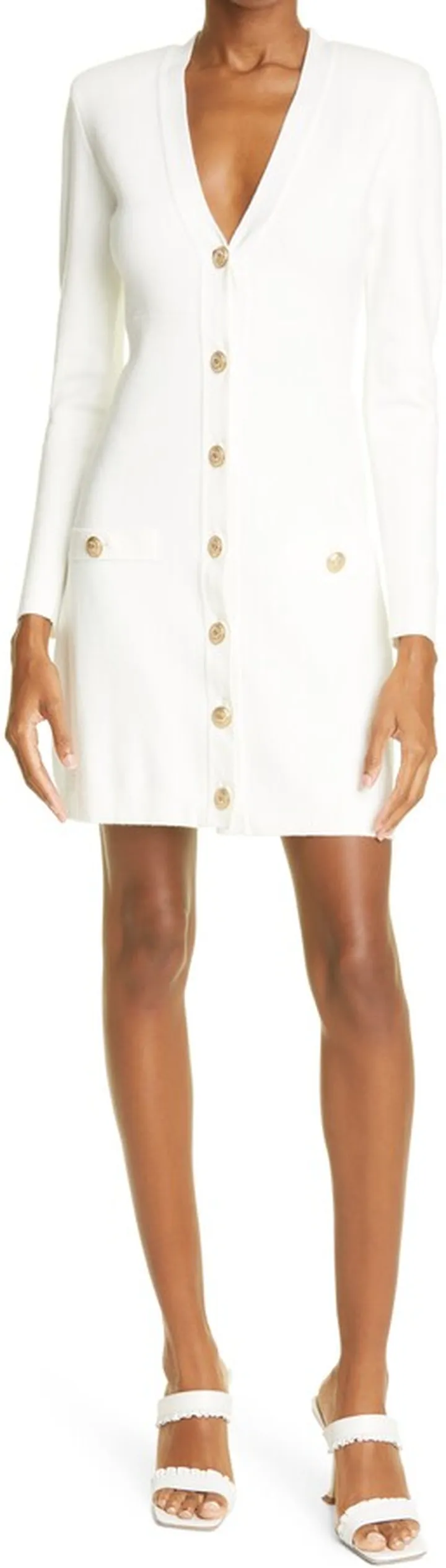 Breanna V-Neck Long Sleeve Minidress