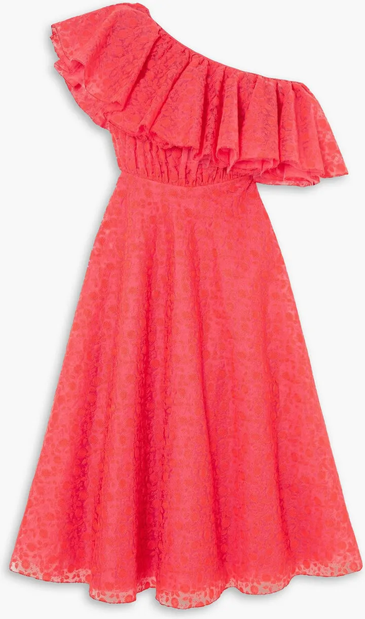 Ruffled one-shoulder embroidered silk-organza midi dress