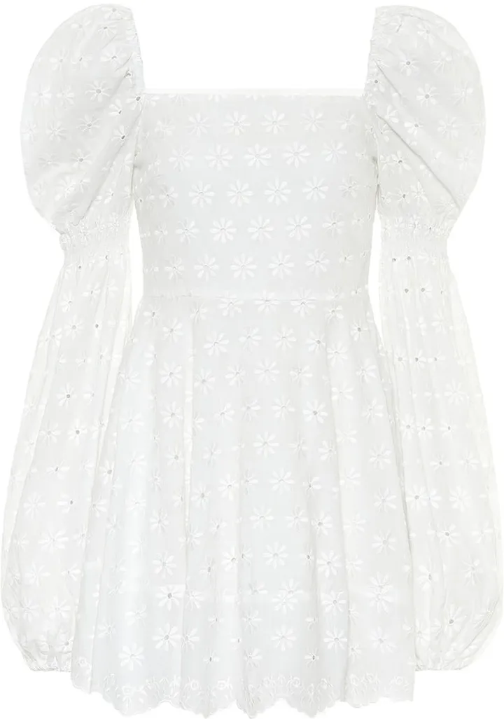 Wren embroidered cotton minidress