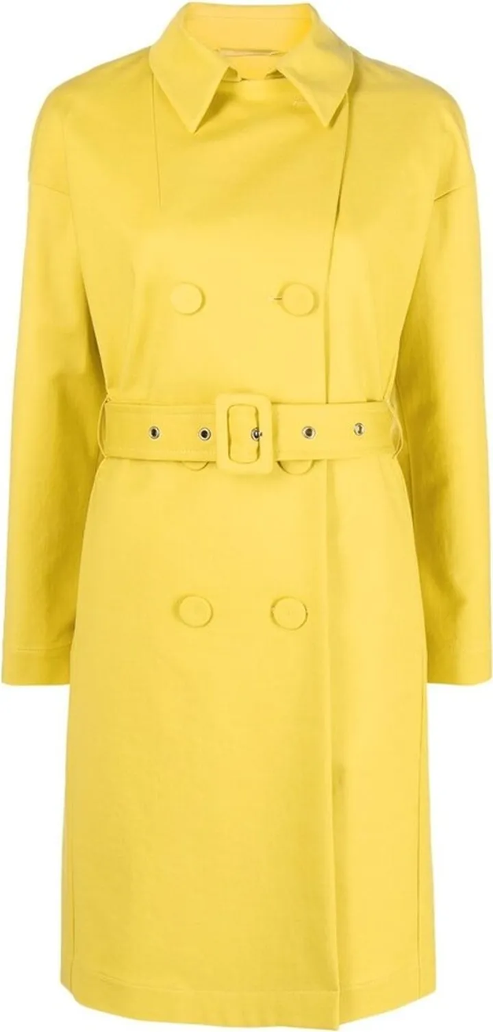Double-Breasted Trench Coat