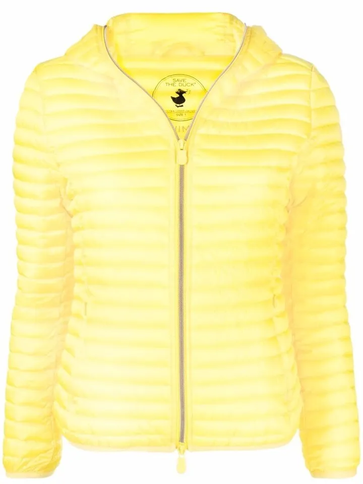 Alexis padded jacket