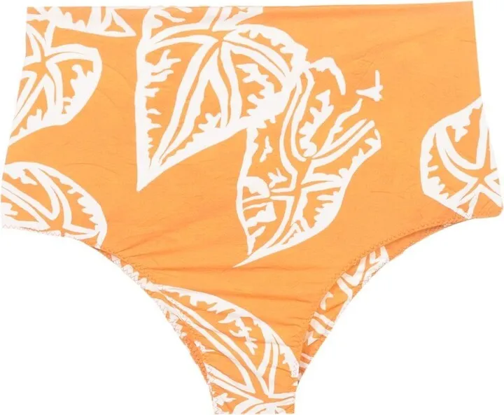 Ceanna high-waisted bikini bottoms