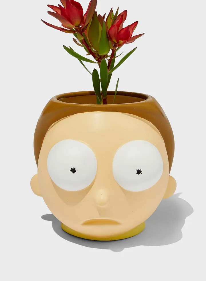 Rick And Morty Planter