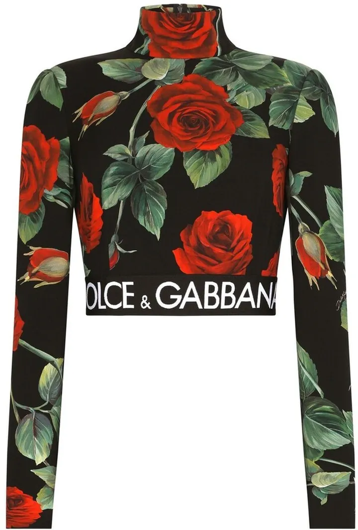 Turtleneck Long-Sleeve Cropped Top