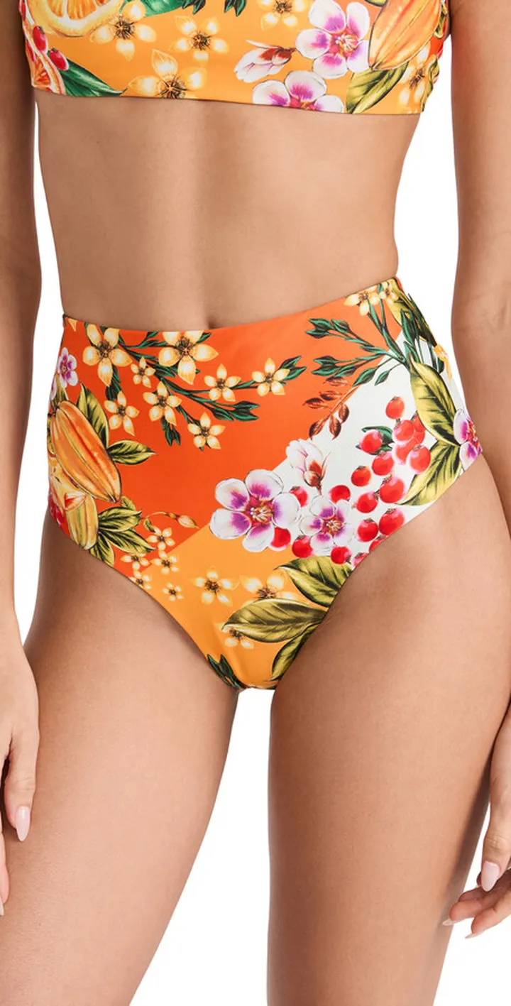 Agua Bendita Alicia Vita Bikini Bottoms