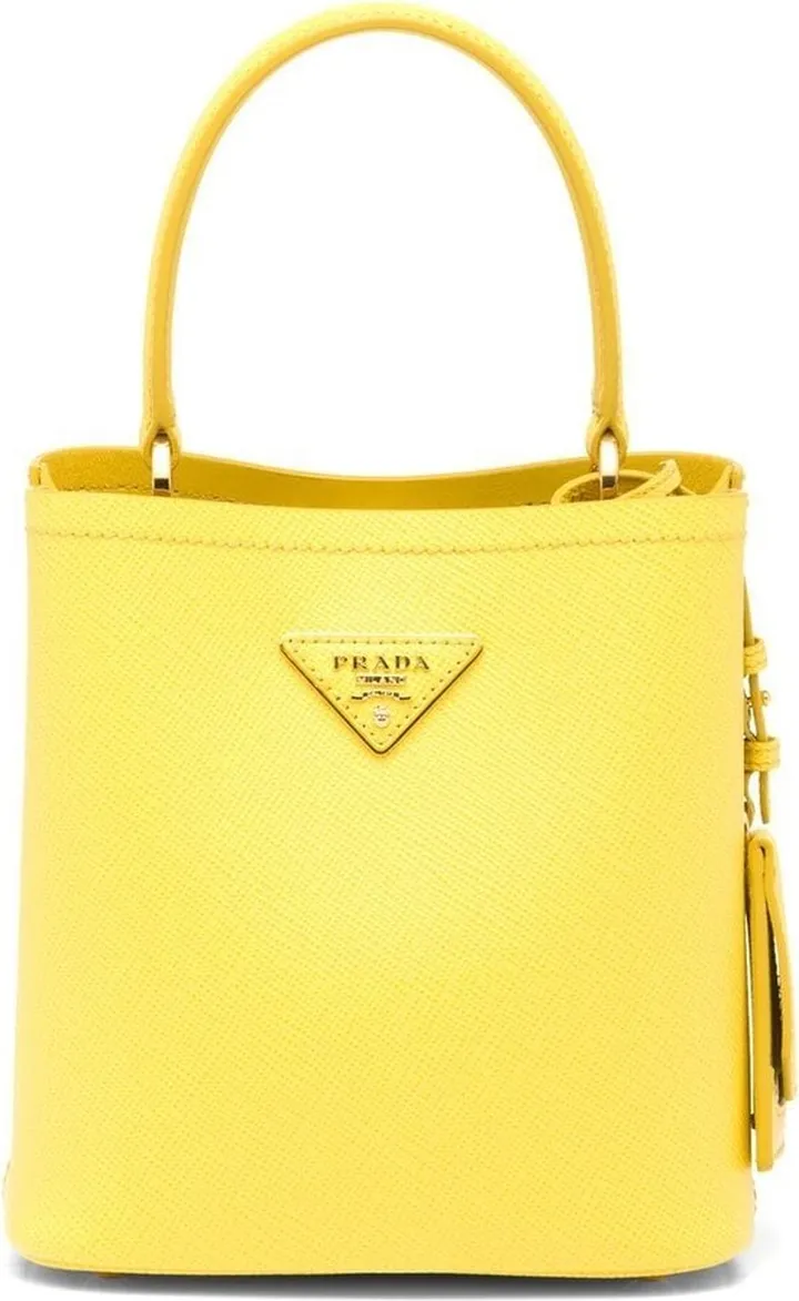 small Panier Saffiano leather bag