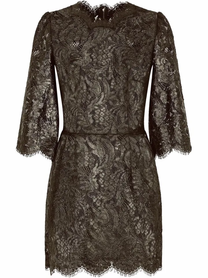 Floral-Lace Sheer Minidress