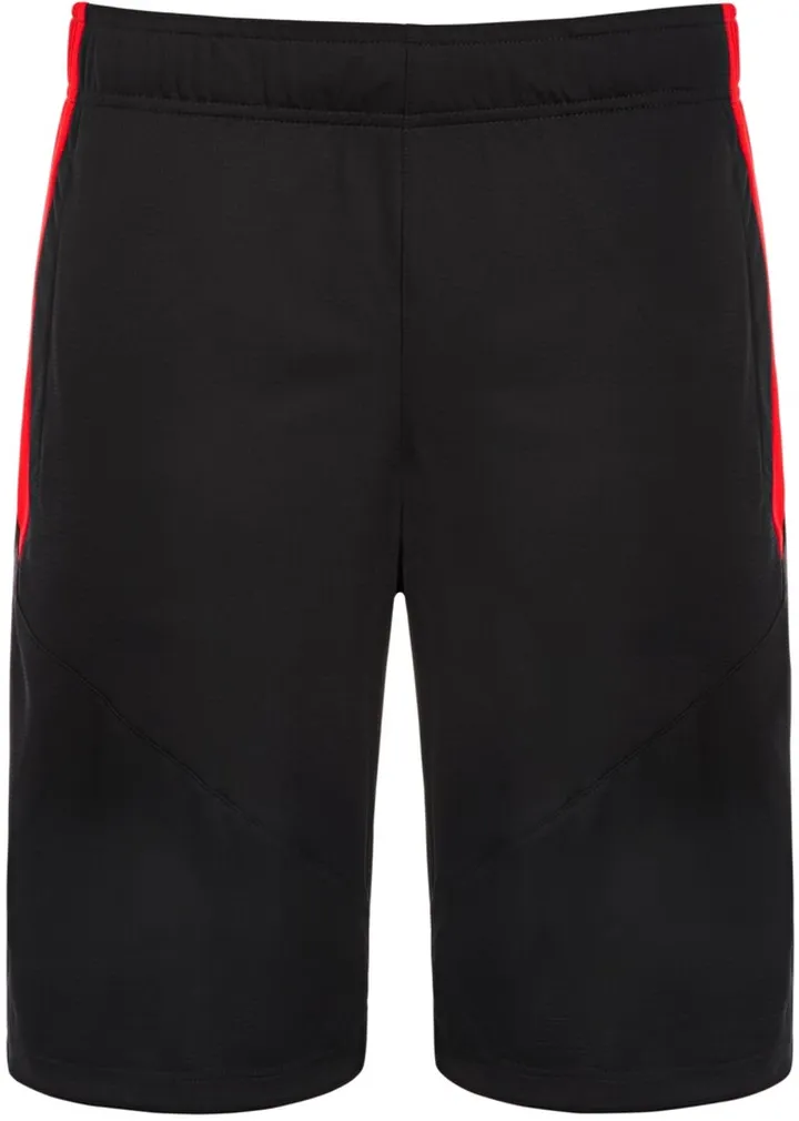 Puma Big & Tall Men's 10" Training Cat Shorts