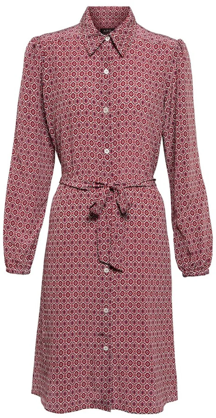 Romane printed silk shirt dress