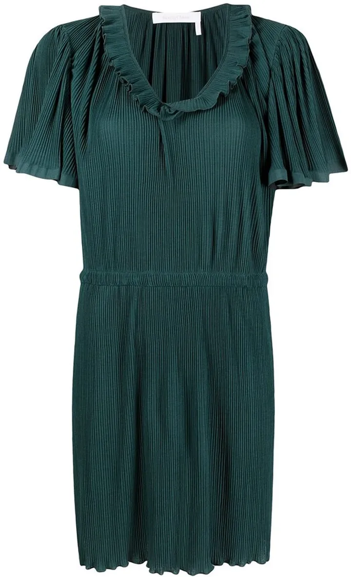 Ruffled Short-Sleeved Mini Dress