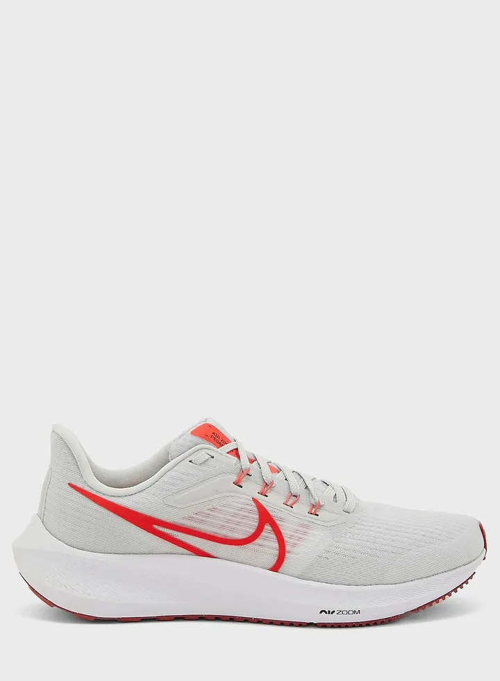Air Zoopegasus 39