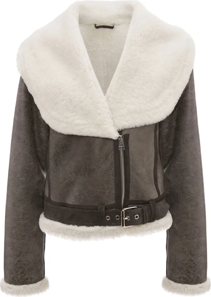Shawl Collar Jacket