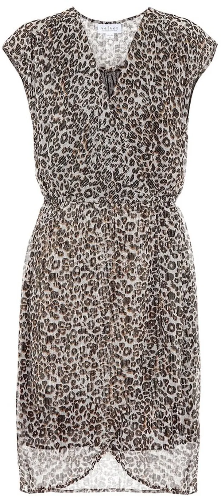 Regan leopard-print minidress