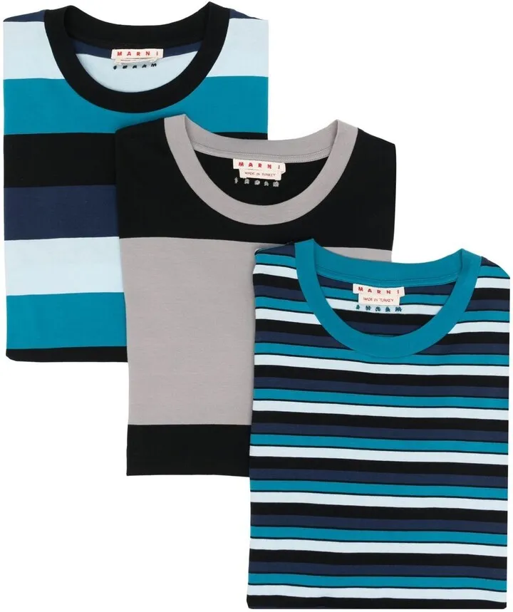 striped crew neck T-shirt