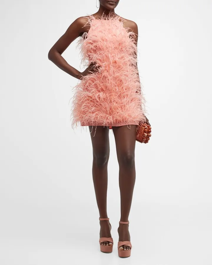 Shannon Feather Shift Dress