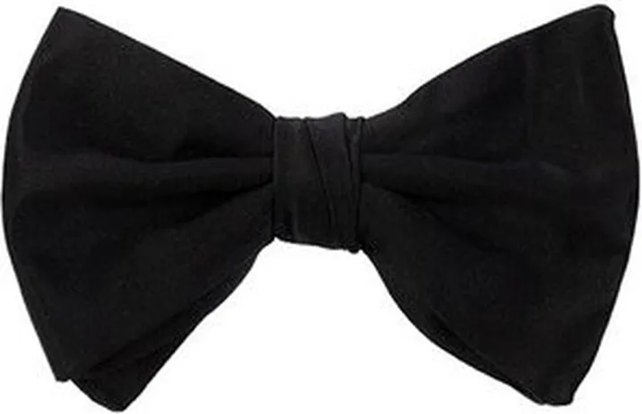 Emporio Armani Clip-Fastened Bow Tie