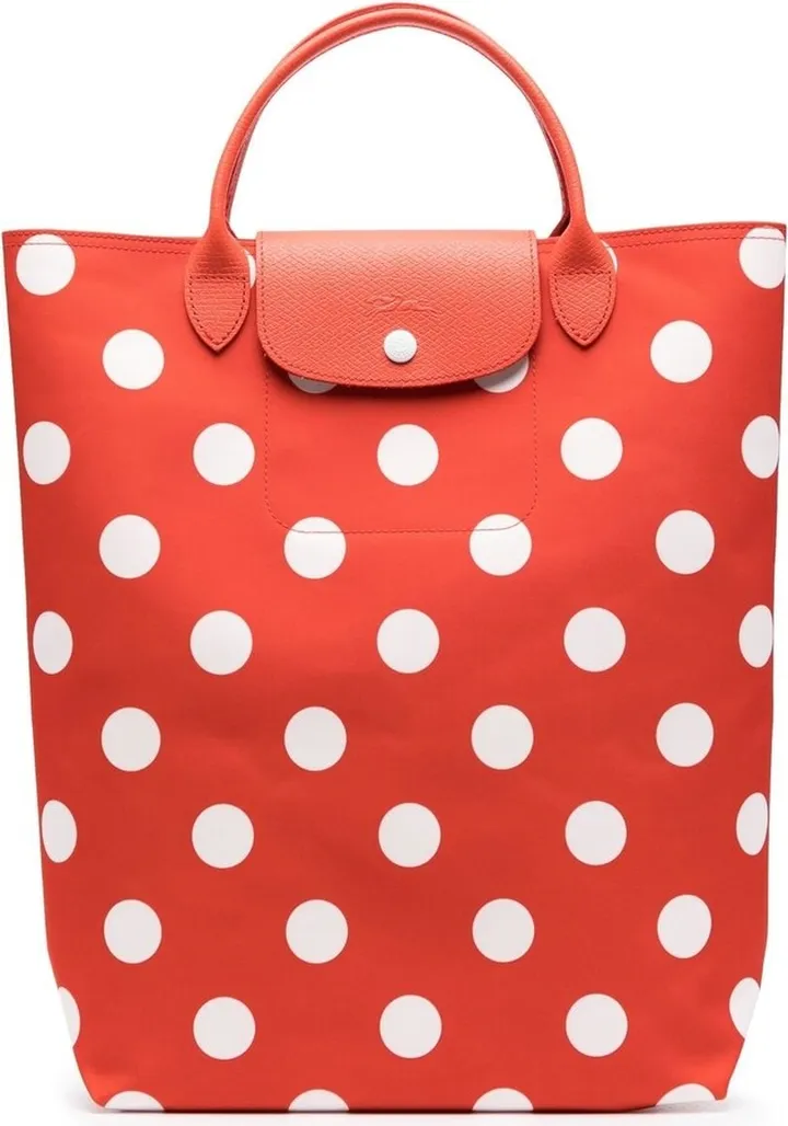 Le Pliage spot-print bag