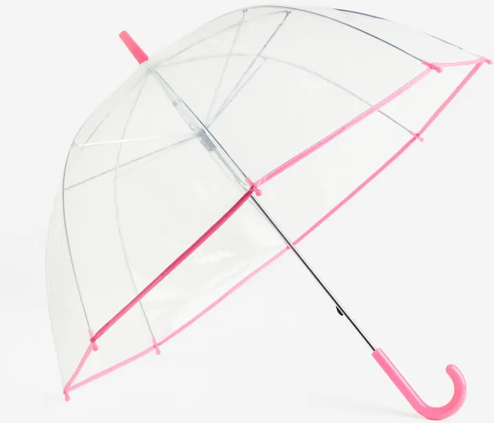 Transparent Umbrella