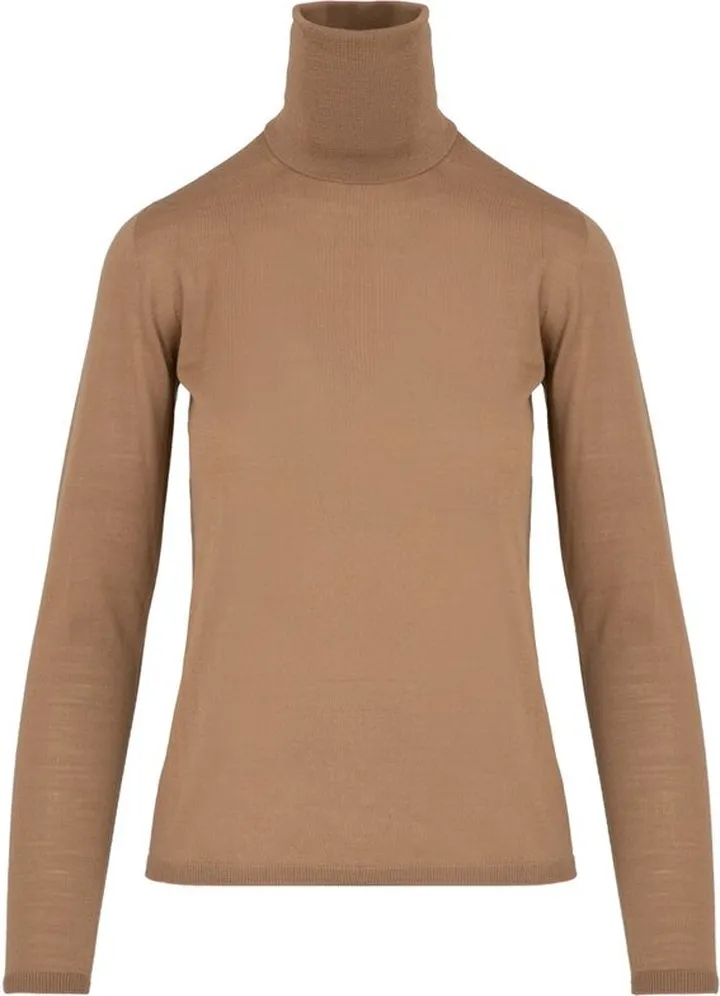 Max Mara Turtleneck Long-Sleeved Top