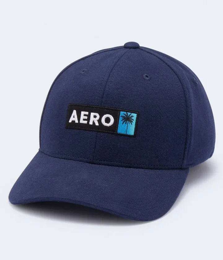 Aeropostale Men's Palm Tree Box Logo Fitted Hat