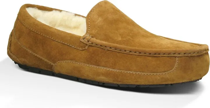 Ascot Slipper