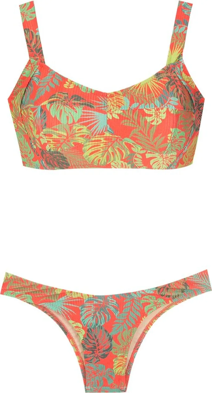 Palm Leaf Print Bikini