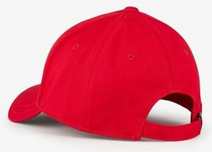 Organic cotton baseball cap