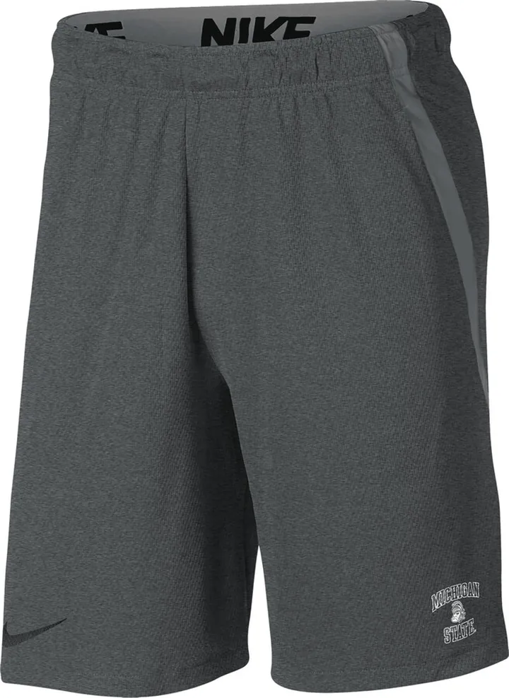 Michigan State Nike Men's College Shorts in Grey