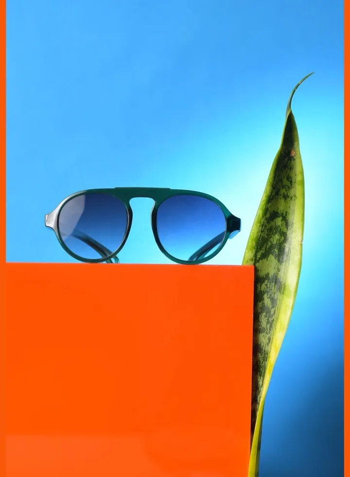 Women Black Lens Black Wayfarer Sunglasses