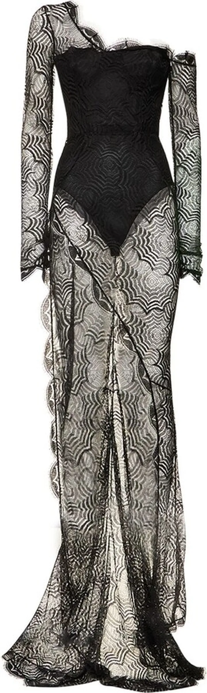 Viscose web lace sleeved long dress