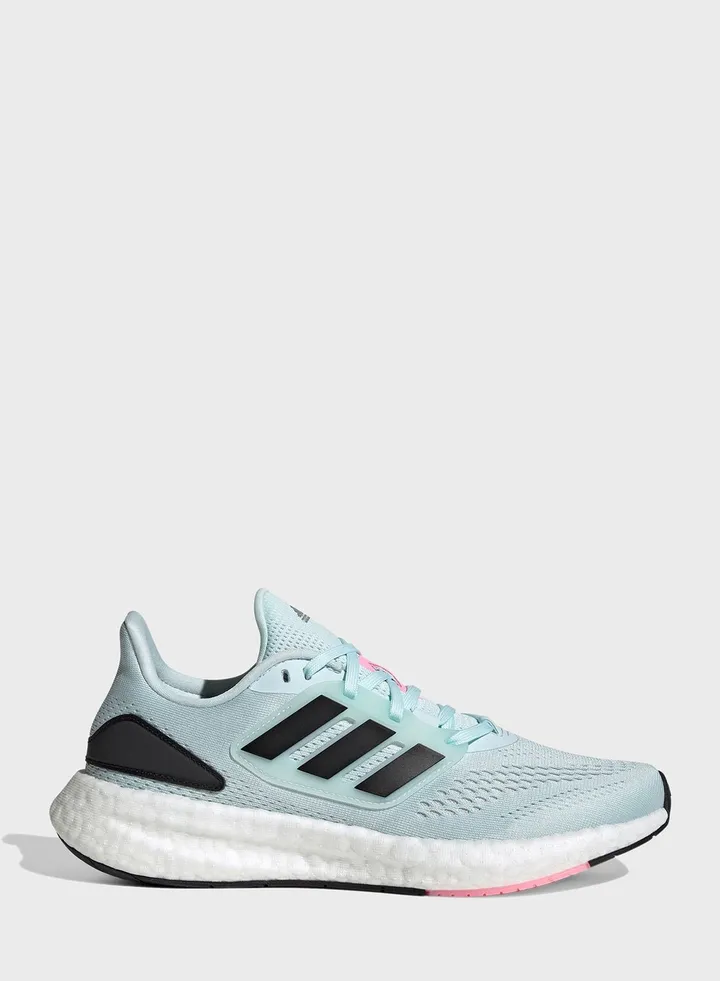 Pureboost 22 W