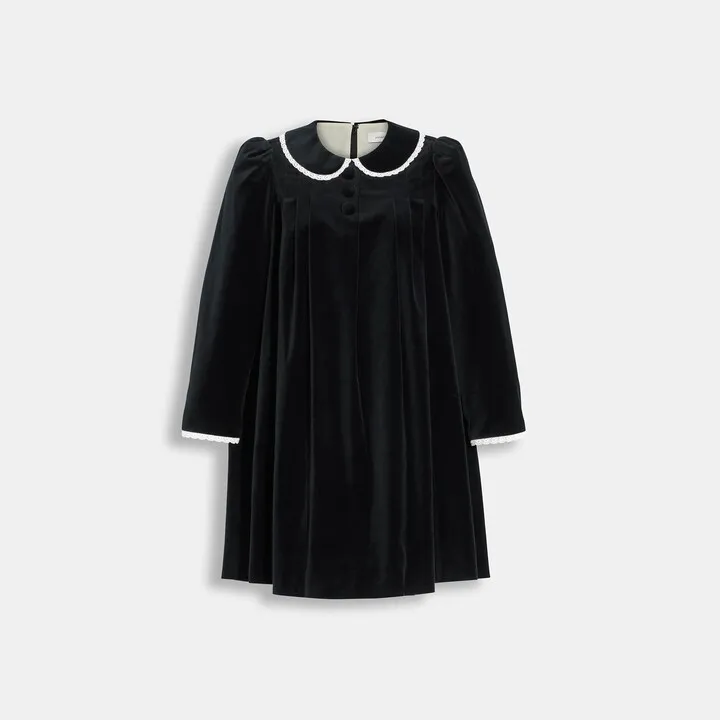 Velvet Pleated Dress
