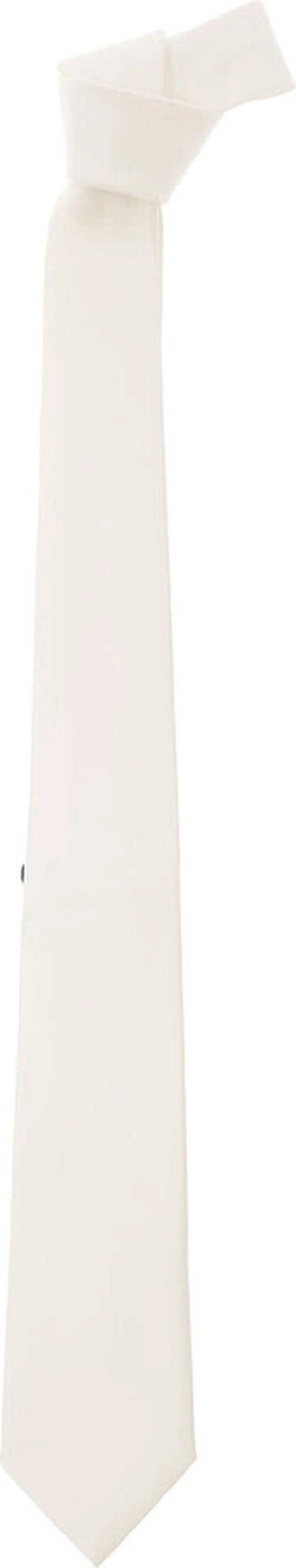 Ivory White Classic-style Tie In Polyester Man