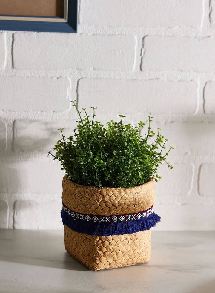 Pot