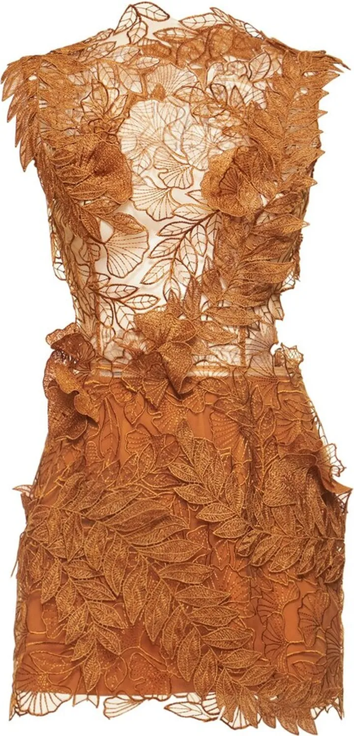 Embroidered tulle mini dress