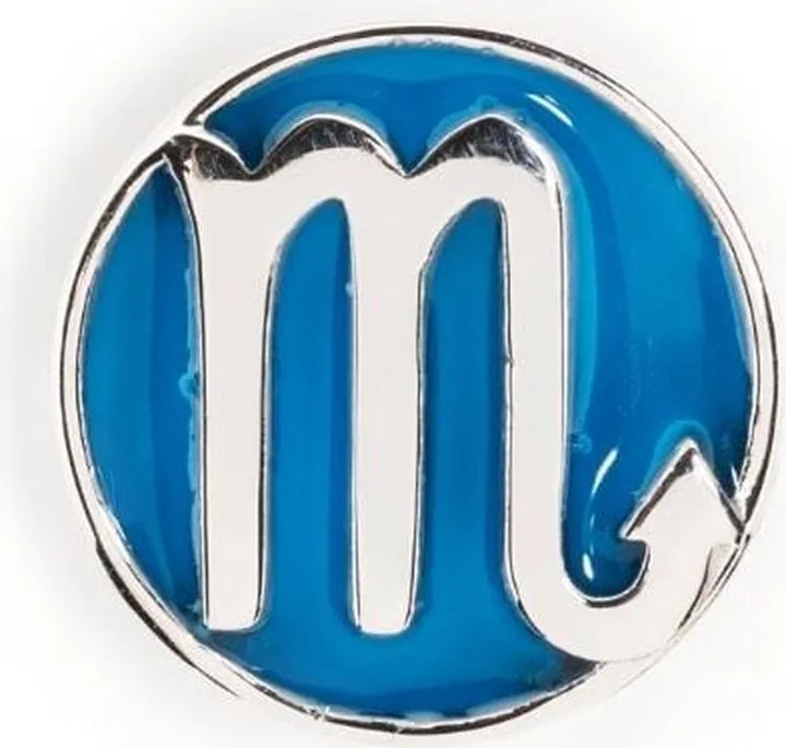 Scorpio POP Coin charm