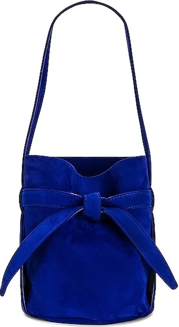 The Row Mini Leo Bag in Royal