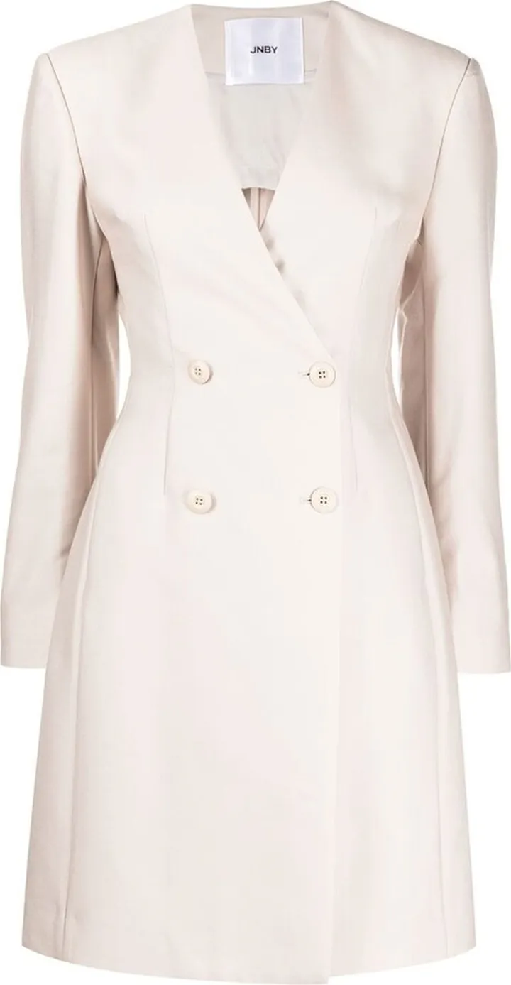 Trench Coat Dress