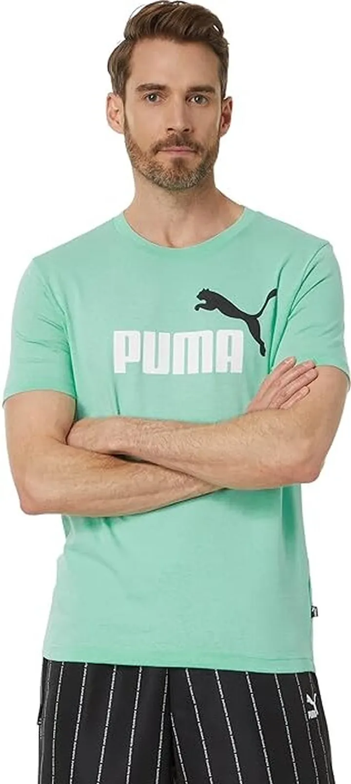 PUMA Essentials 2 Colors Logo Tee (Mint) Men's Clothing