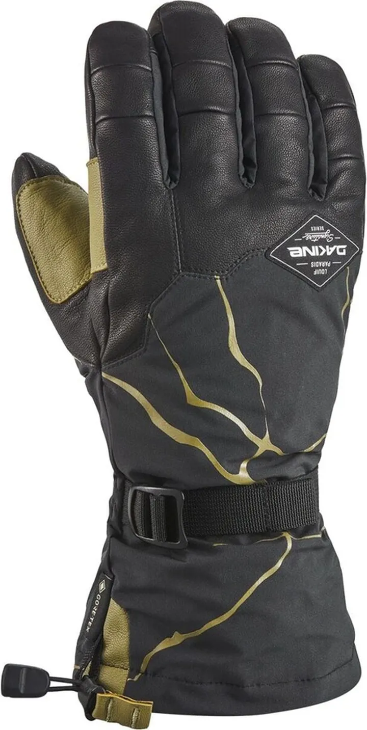 DAKINE Team Phoenix GORE-TEX Glove - Men's